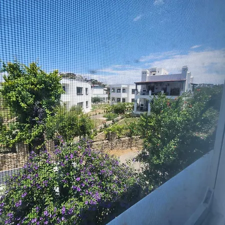 Cedi * Bodrum