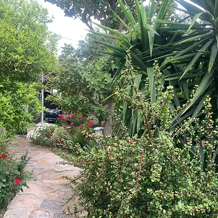 Holiday home Cedi