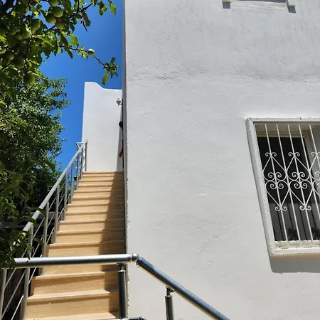 Cedi Holiday home
