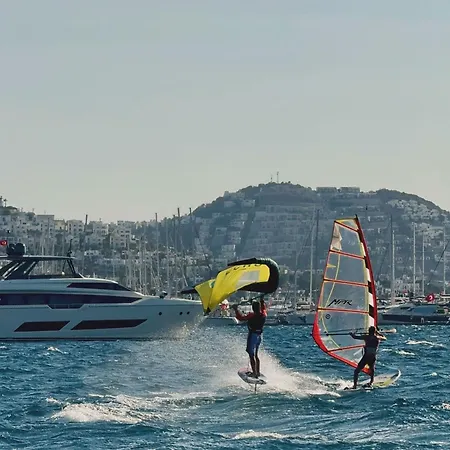 Cedi Bodrum