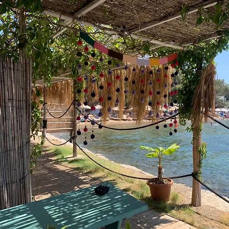 Cedi Holiday home